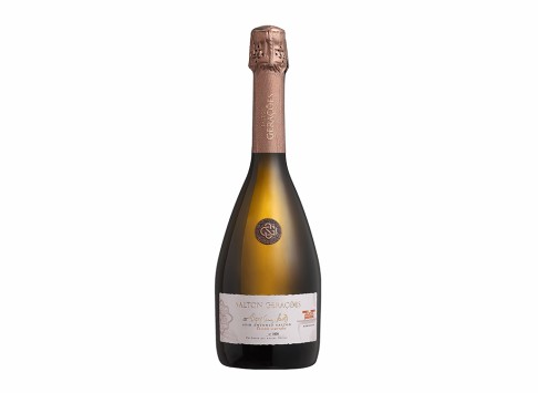 Espumante Salton Gerações Asir Antonio 750 ml